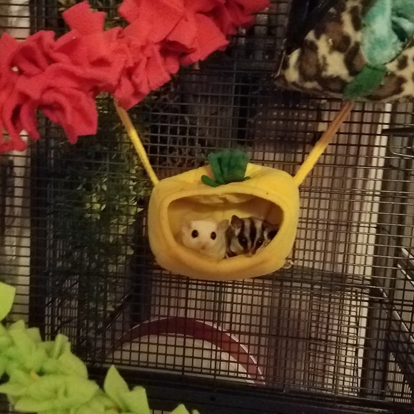 Meet your Posher, Alex - Picture 4 of 6